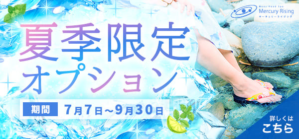夏季限定オプション